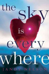 the-sky-is-everywhere